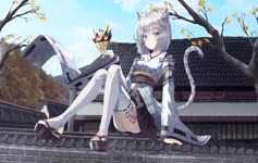 Anime Catgirl Live Wallpaper