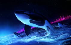 Blue Ocean Orcas 4K Live Wallpaper