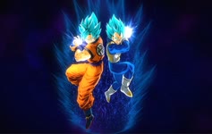 Super Saiyan Gods Goku And Vegeta Live Wallpaper