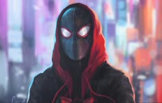 Spiderman With Hood Multiverse Live Wallpaper
