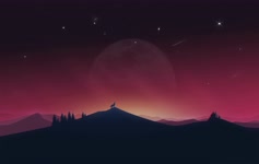 Lonely Wolf Under The Night Sky 4k Live Wallpaper