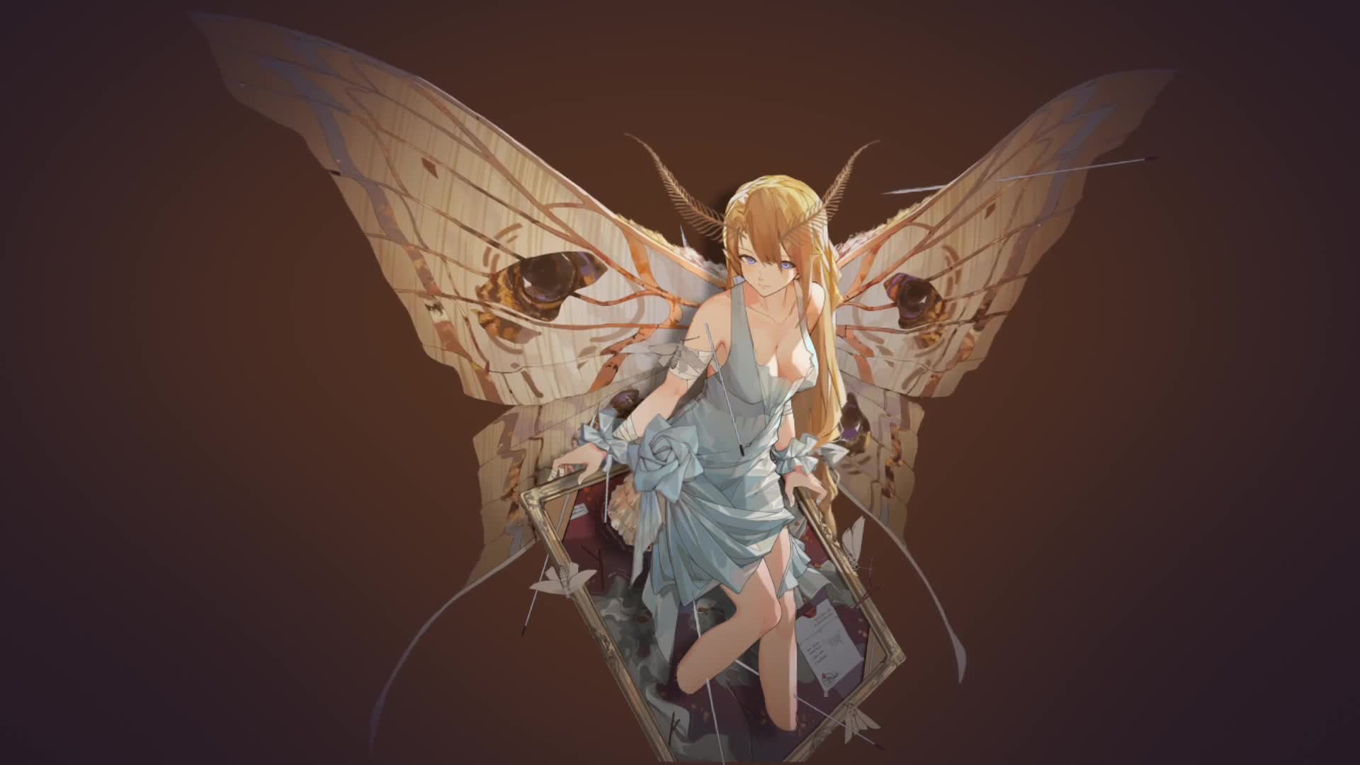 Download Anime Butterfly Girl Video Live Wallpaper