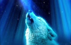 Desktop Animated Wolf Live Wallpaper