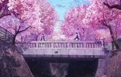For Windows and Mac Anime Couple On Bridge With Cherry Blossom PC Live Wallpaper