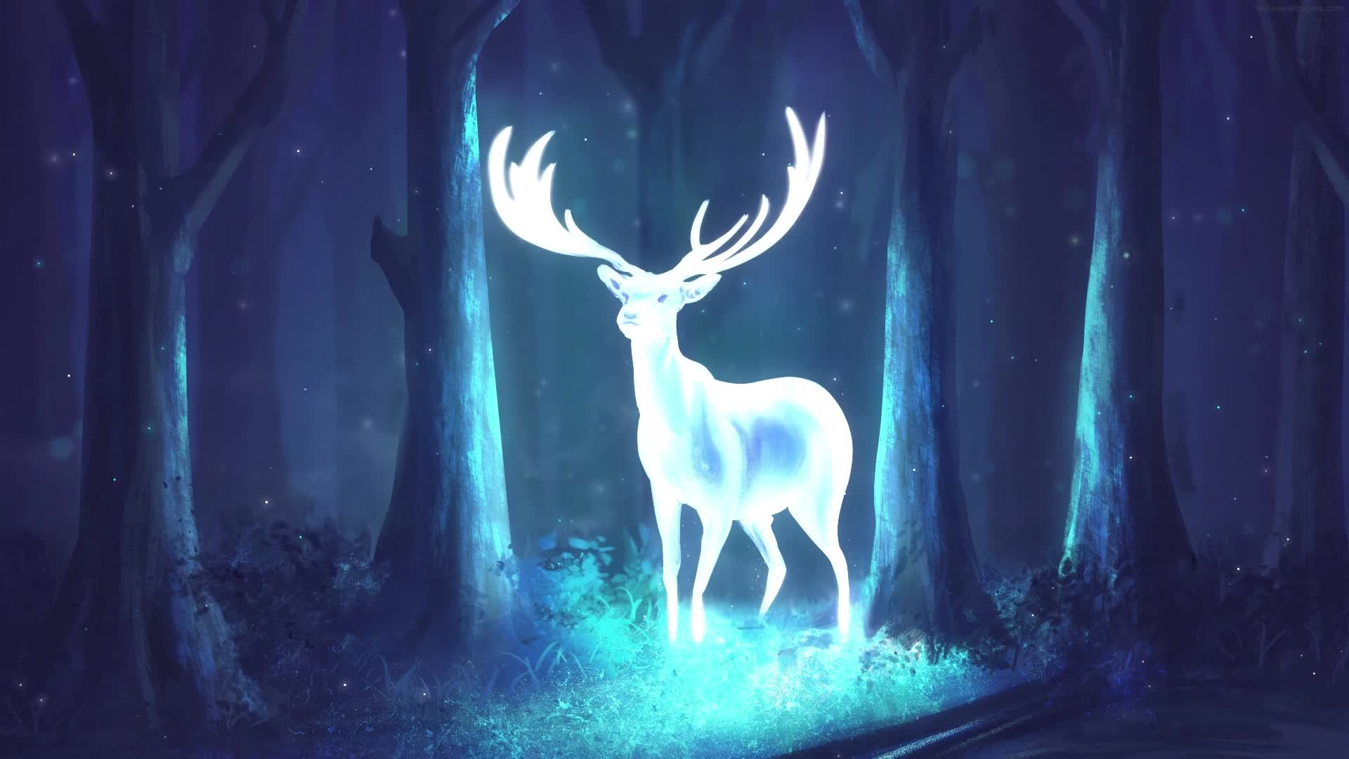 Download PC Animated Glowing Deer Live Wallpaper
