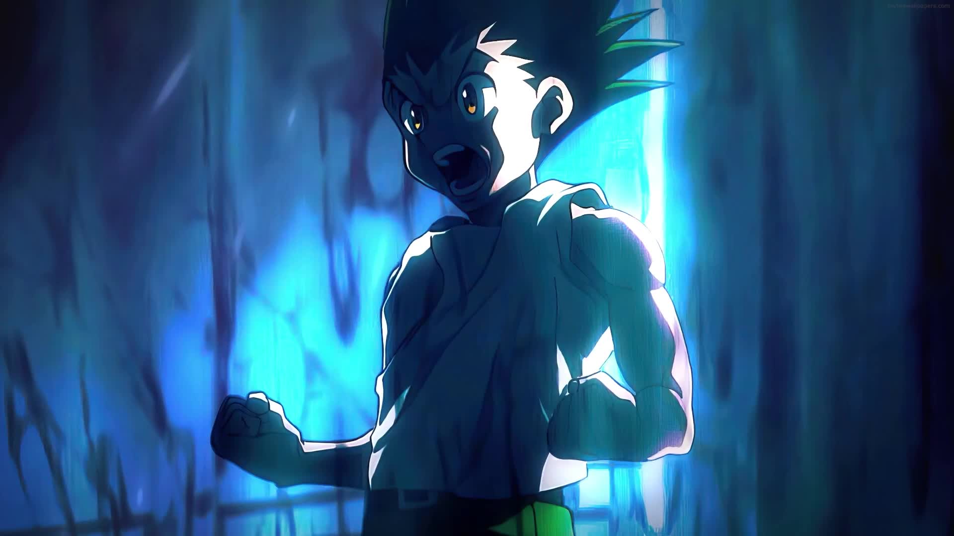Download PC Animated Hunter x Hunter Live Wallpaper