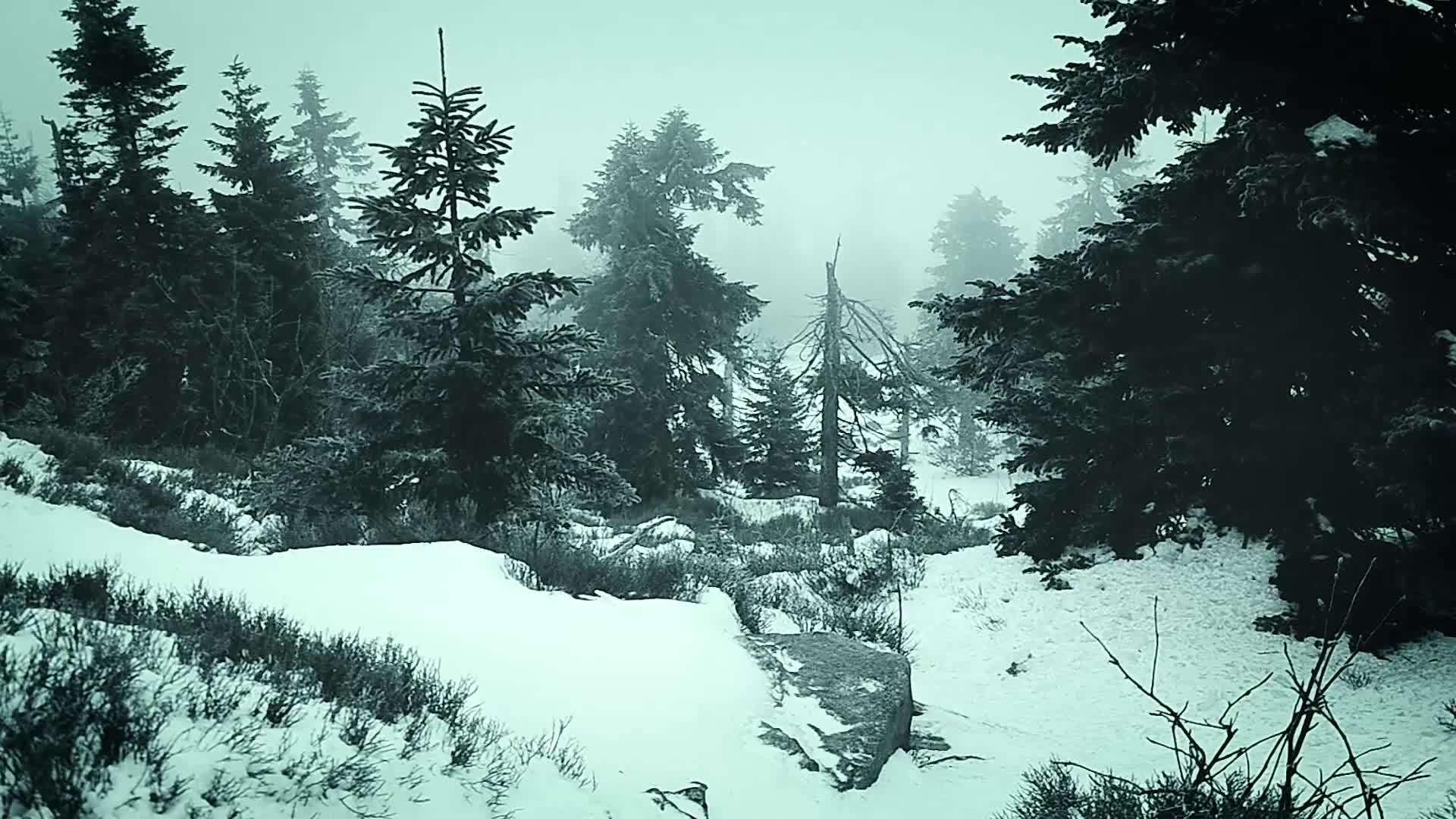 Download Mountains Forest Windows Animated Wallpaper