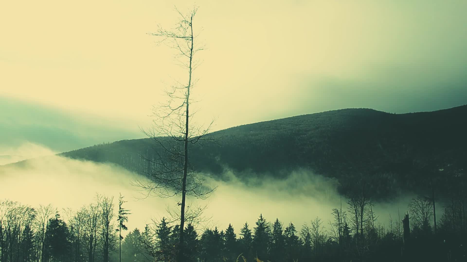 Download Mountains Windows Animated Wallpaper