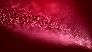 Rose Particle Windows 10 Animated Wallpaper