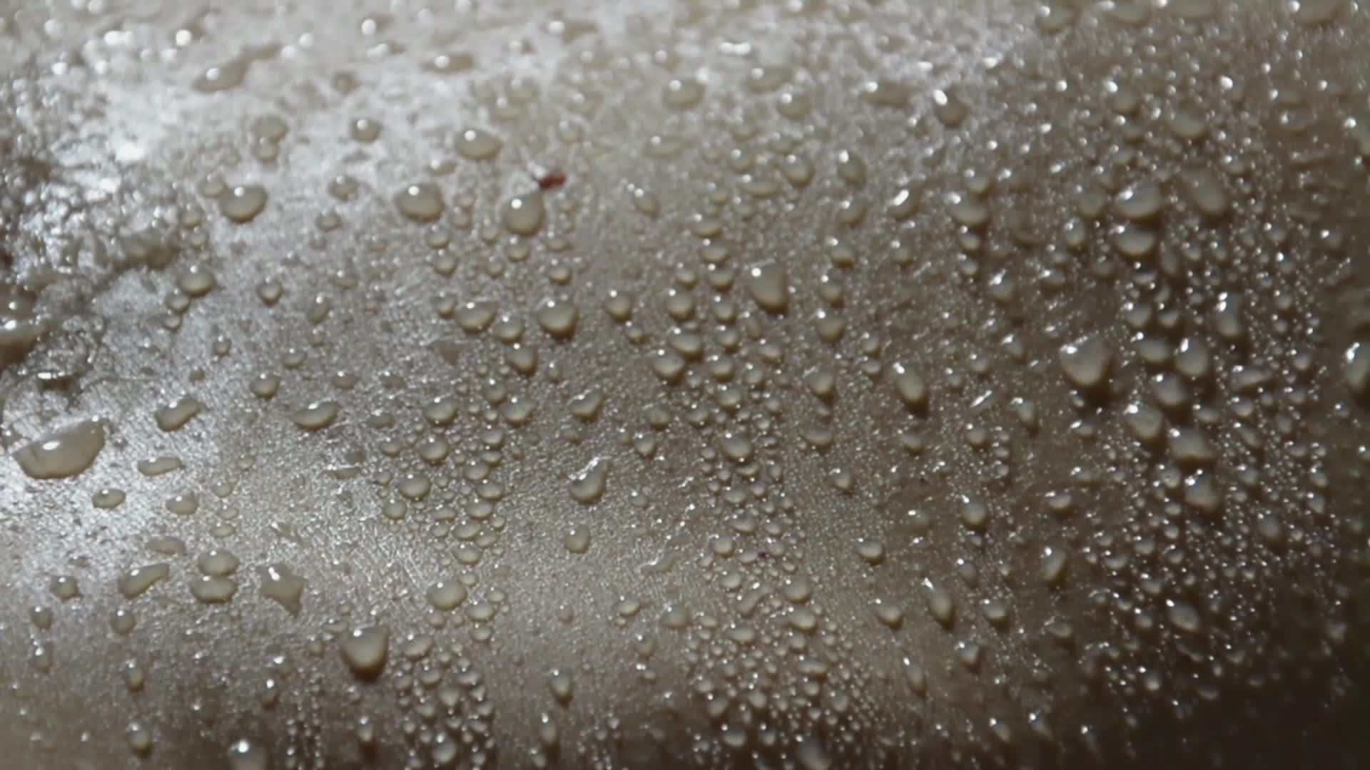 Download Skin Windows Animated Wallpaper