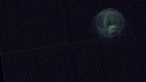 Skull Xray Windows 10 Animated Wallpaper
