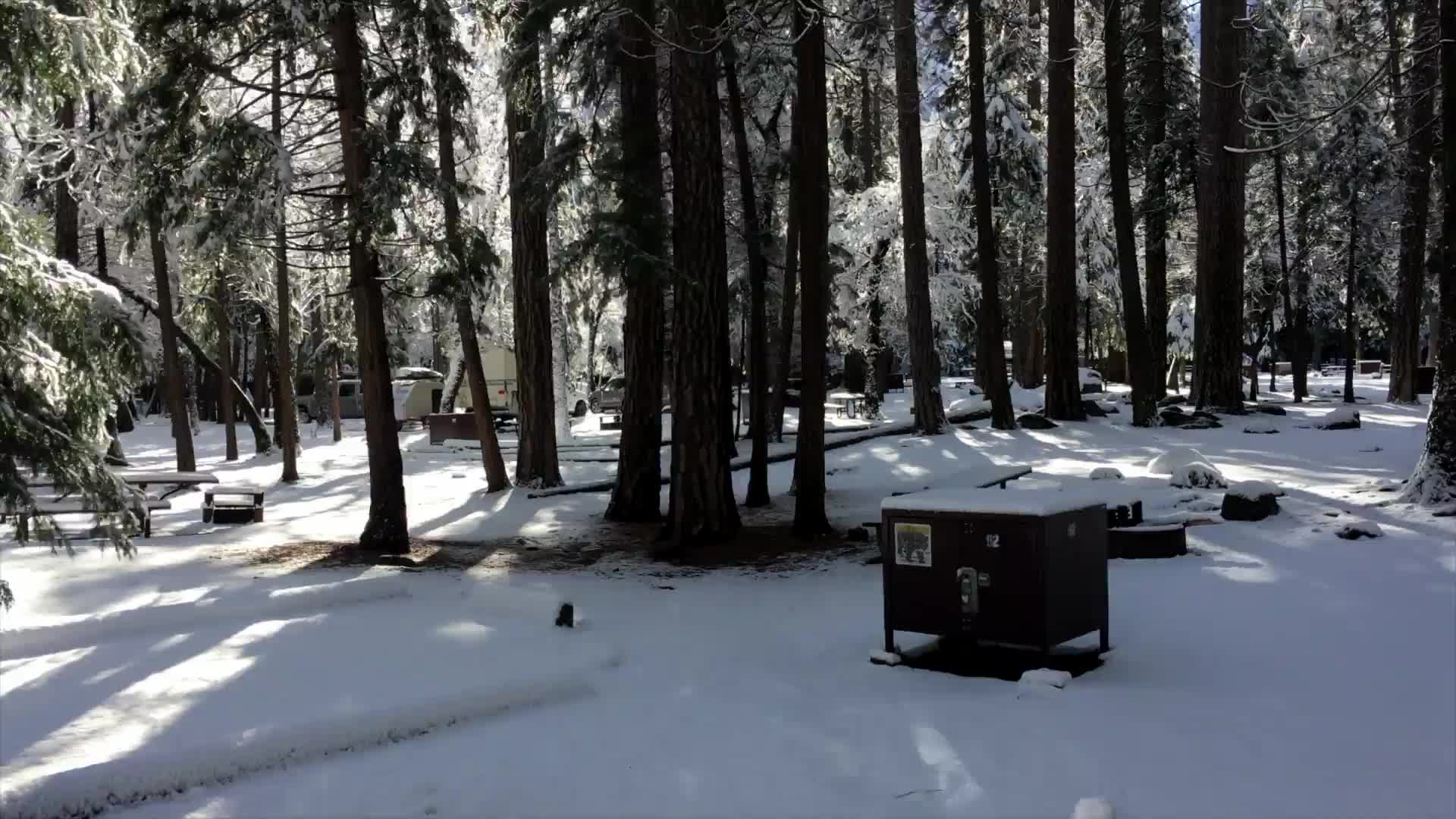 Download Snow Park Windows Animated Wallpaper