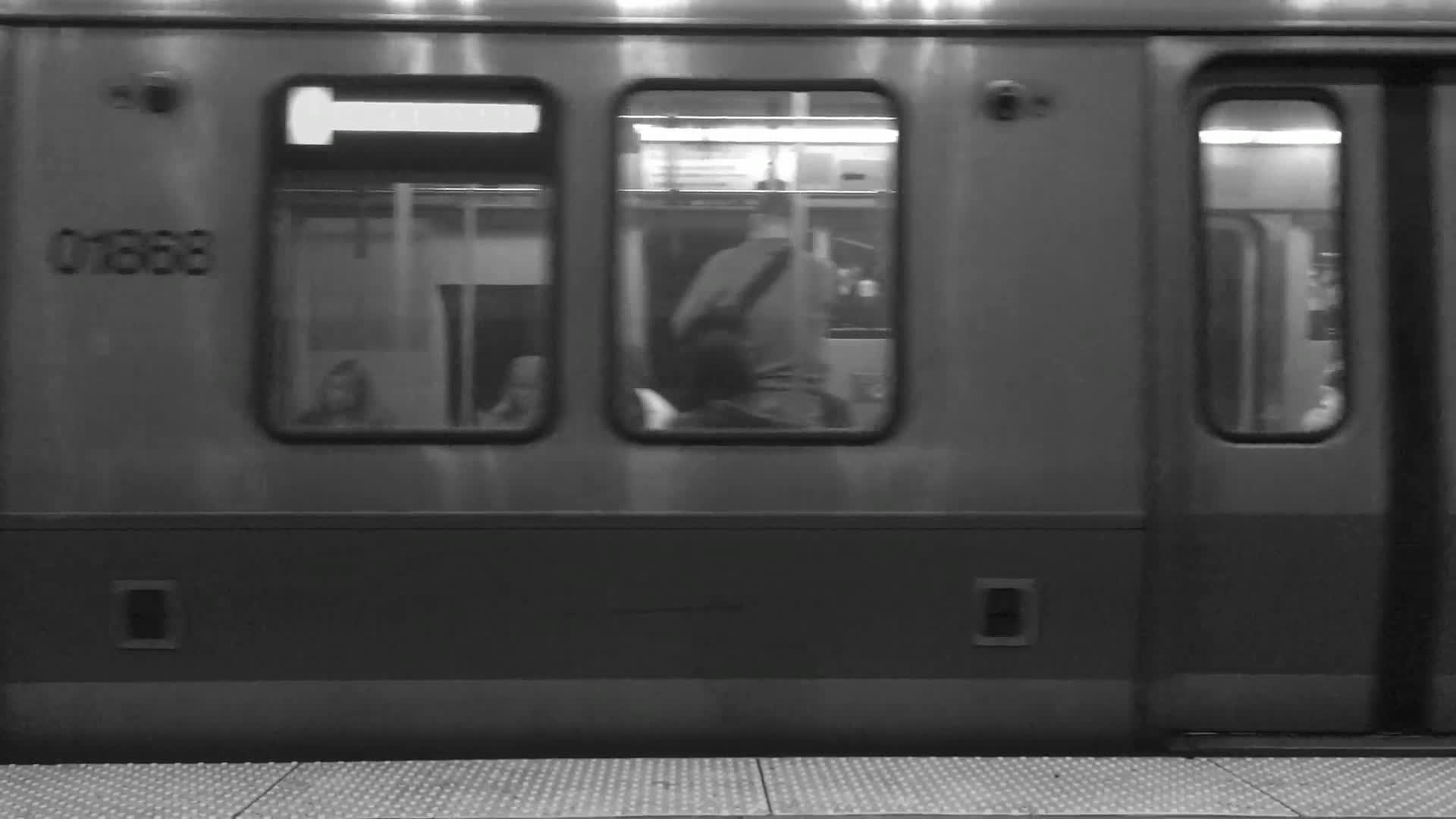 Download Under PC Live Wallpaper