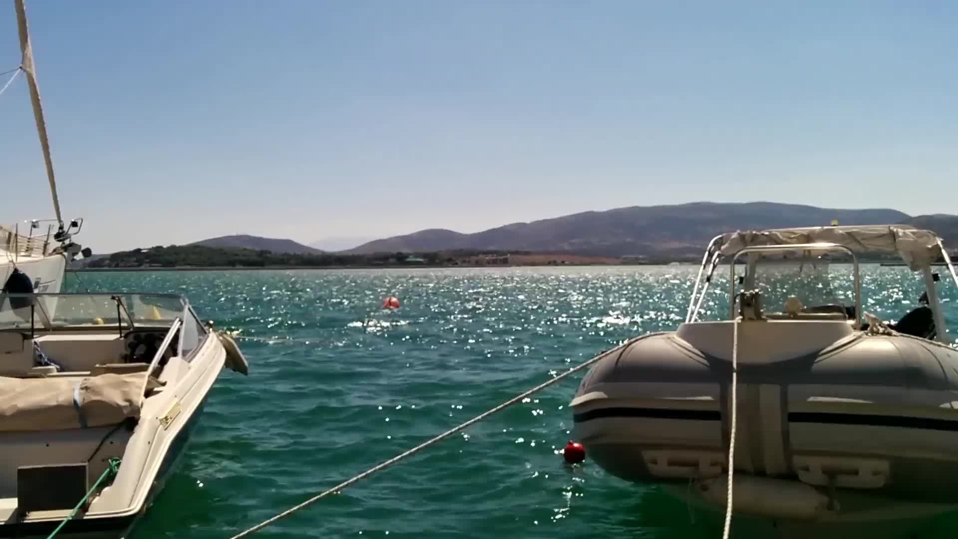 Download Water Park Windows Animated Wallpaper