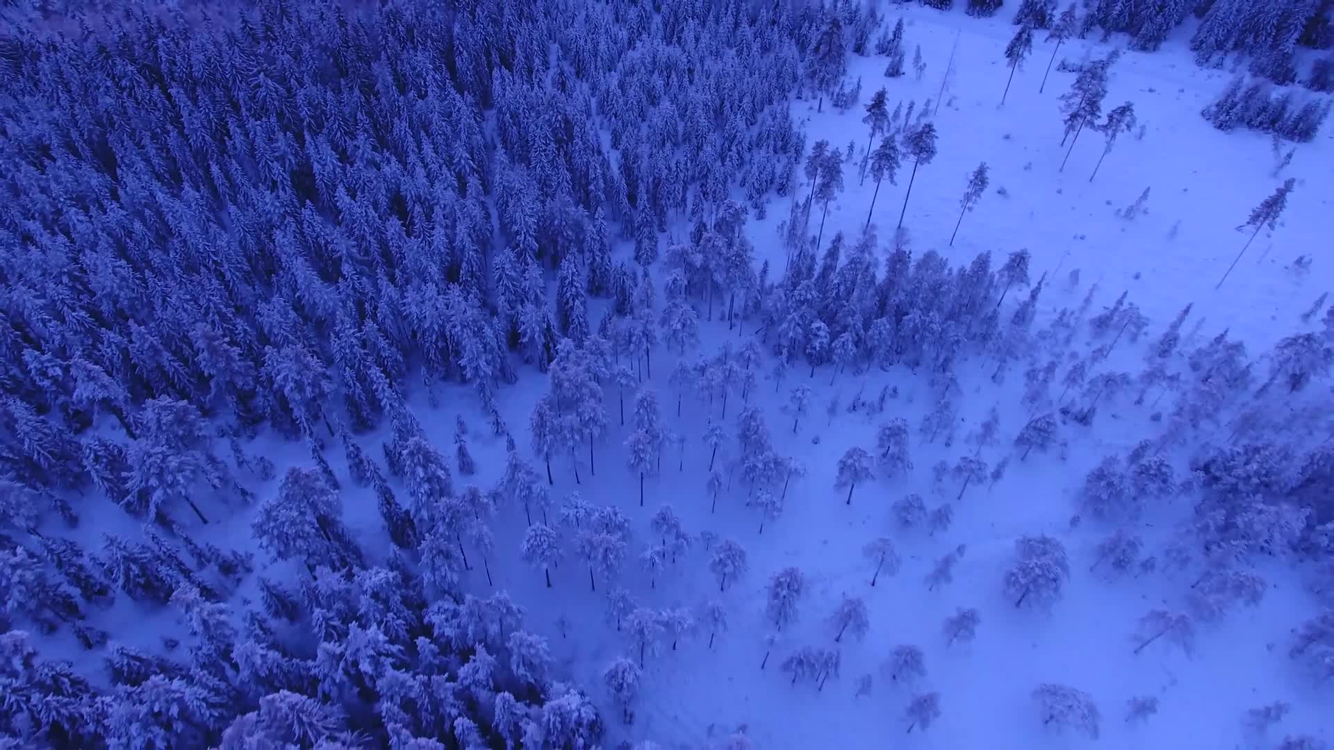 Download Winter Windows Animated Wallpaper