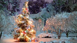 Christmas Tree Snow Live Wallpaper 1