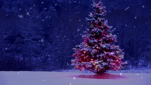 Christmas Tree Snow Live Wallpaper