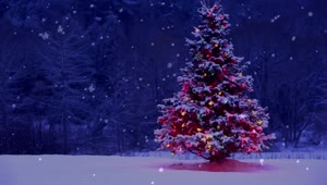 Download Christmas Tree Snow Live Wallpaper