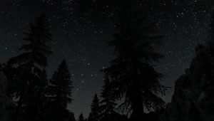 Skyrim Nature Night Sky Stars Live Wallpaper