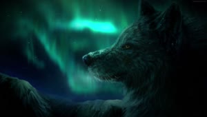 PC Aurora Wolf HD Live Wallpaper