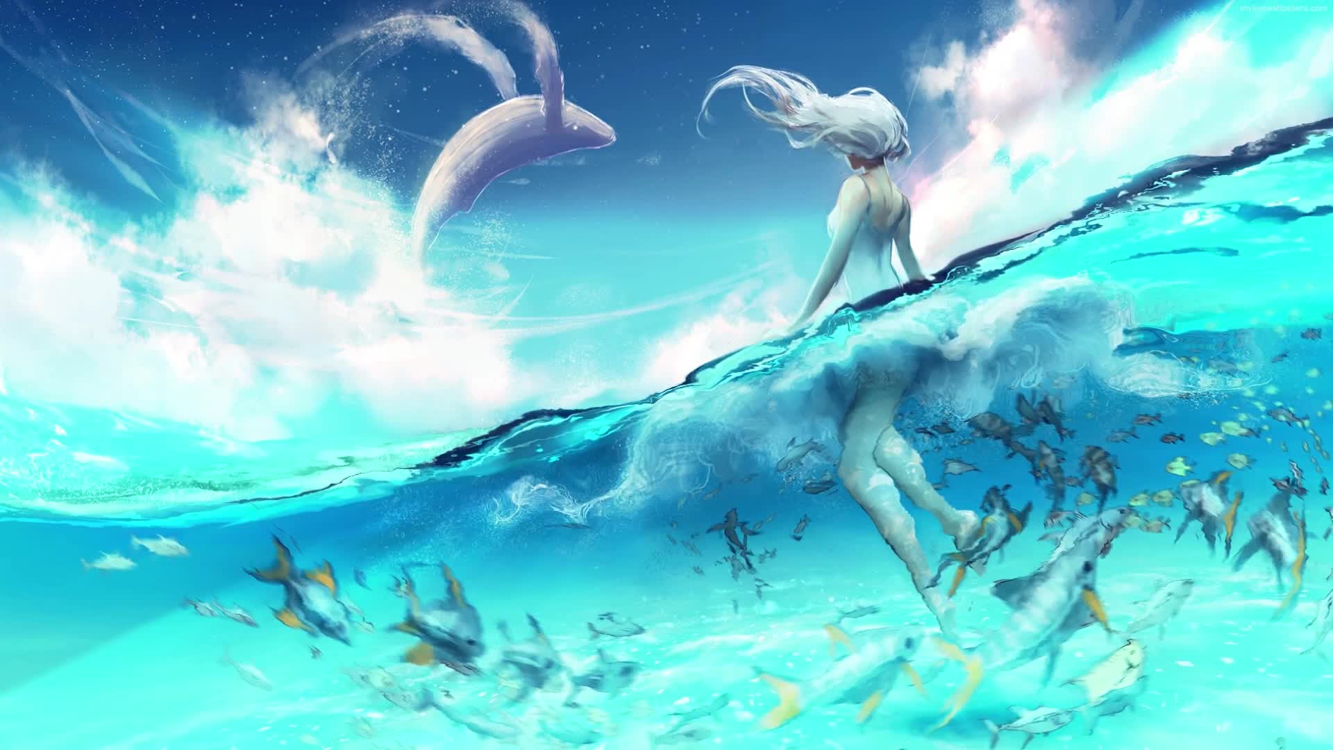 Download PC Whale Watching HD Live Wallpaper