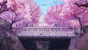 PC Sakura Petals Bridge HD Live Wallpaper