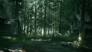 TLOU2 Ghost Town HD Wallpaper Preview wallpaper engine