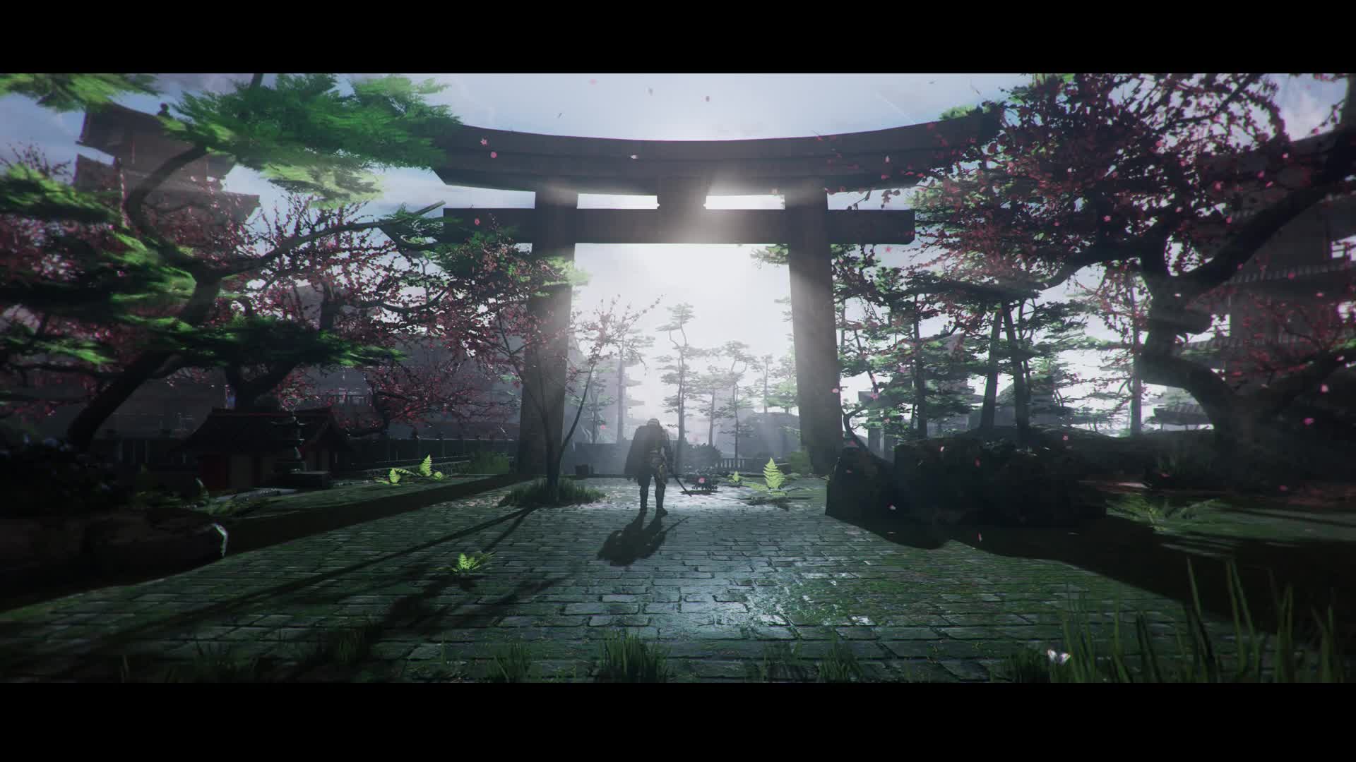 Download Live wallpaper  Samurai