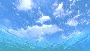 PC Underwater Live Wallpaper