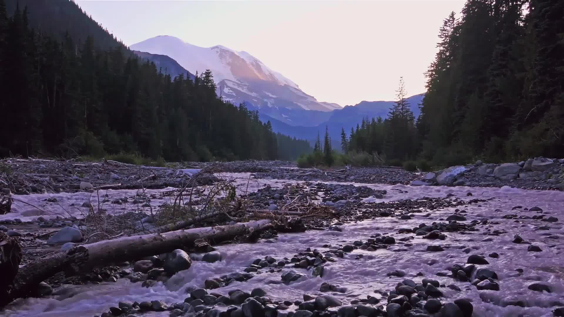 Download PC Stream Nature Live Wallpaper