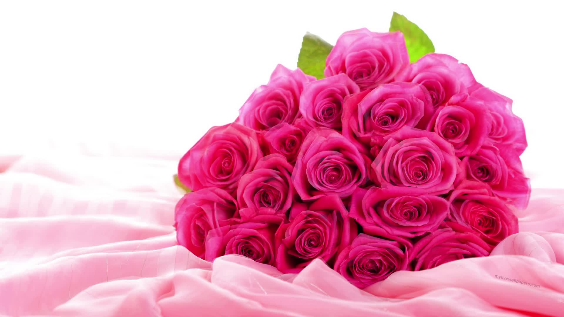 Download PC Pink Hearts Live Wallpaper