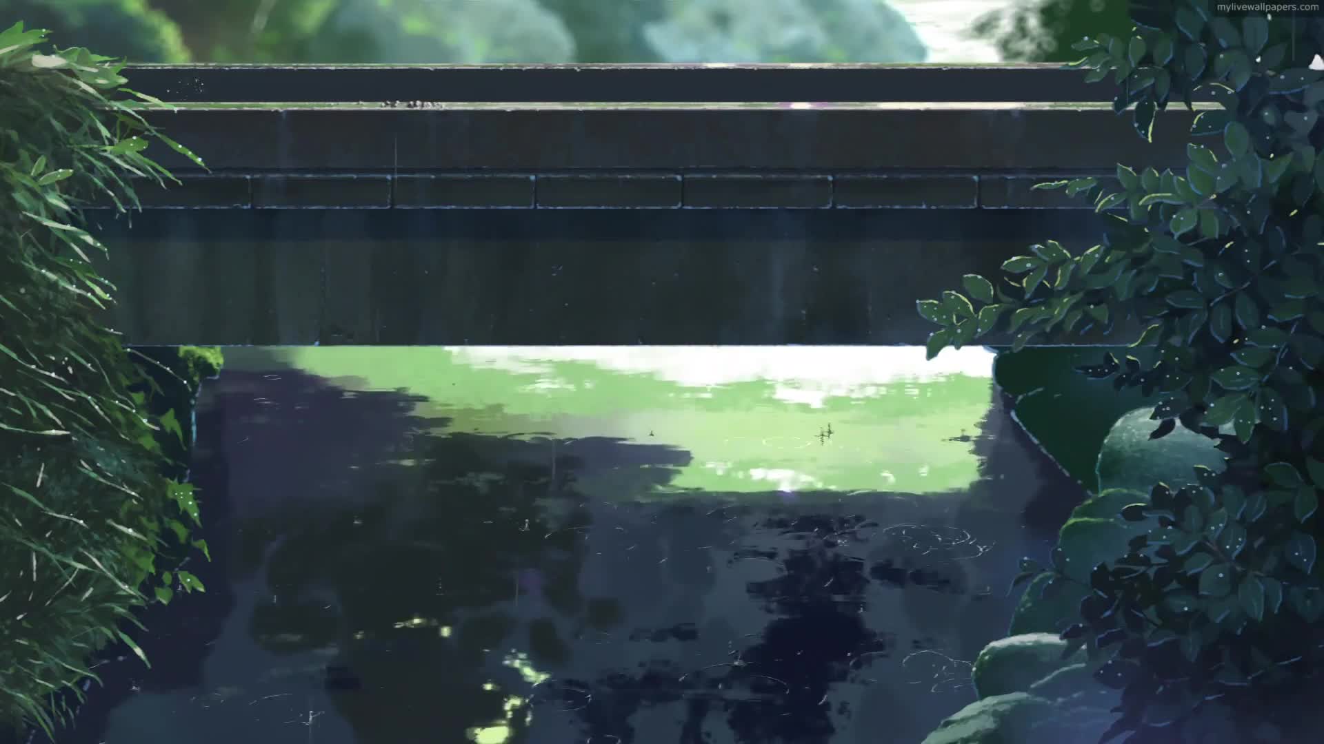 Download PC Raining Bridge Live Wallpaper