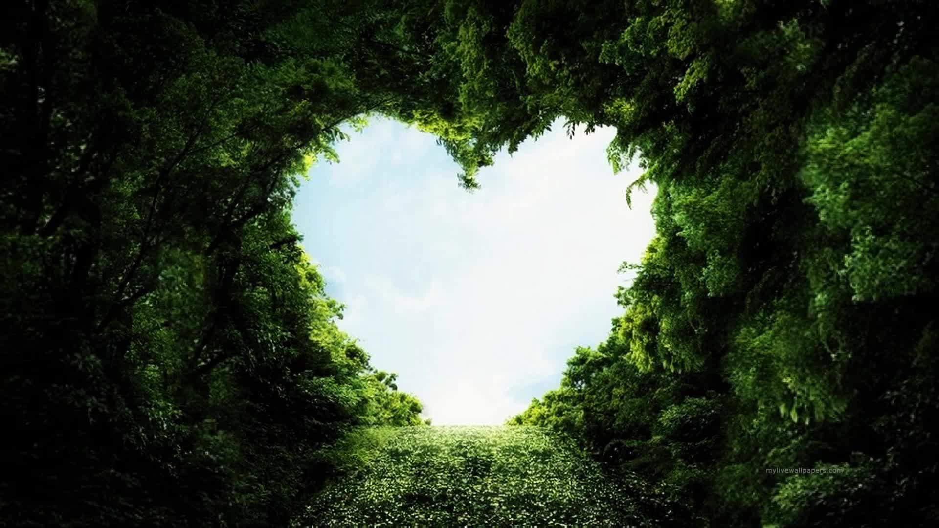 Download PC Heart Forest Live Wallpaper