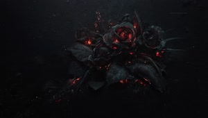 PC Burning Roses Live Wallpaper