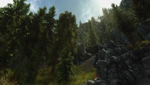 Tranquil Forest Elder Scrolls V Skyrim Live Wallpaper