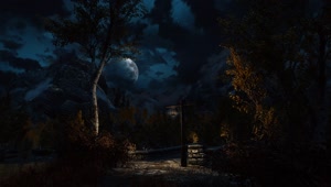 Moonlight Above the Aspens Skyrim SE Live Wallpaper HD