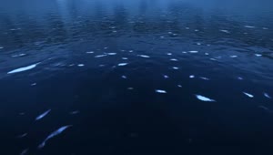 Deep Blue Sea Live Wallpaper 1080p