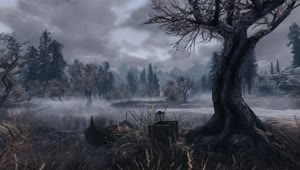 Forest of Ghosts Skyrim SE Live Wallpaper HD