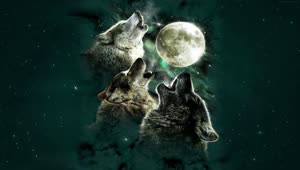 PC Wolves Full Moon Live Wallpaper Free