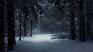 PC Winter Snow Forest Live Wallpaper Free