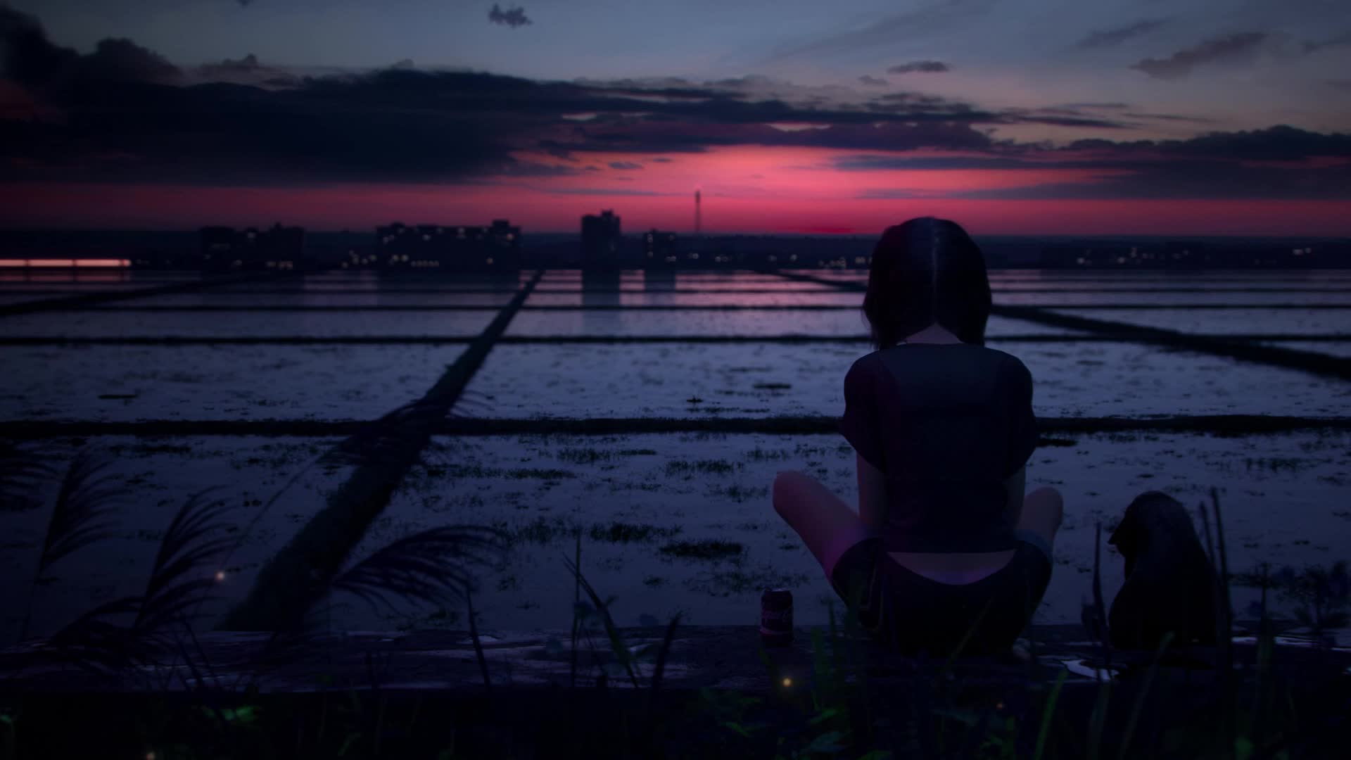 Download PC Watching the Train Go By Live Wallpaper Free