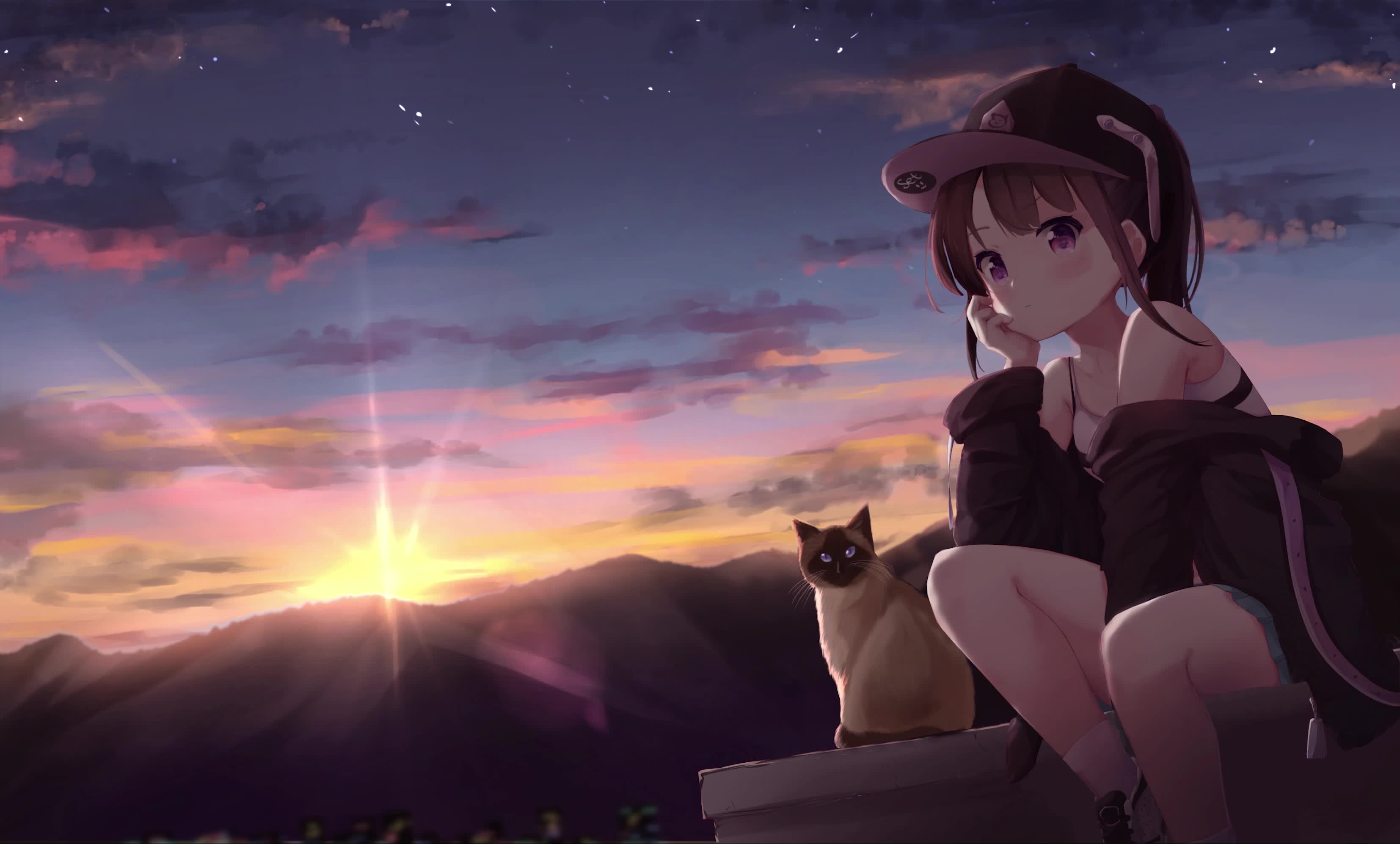 Download PC Watching Sunset Anime Girl QHD Live Wallpaper Free