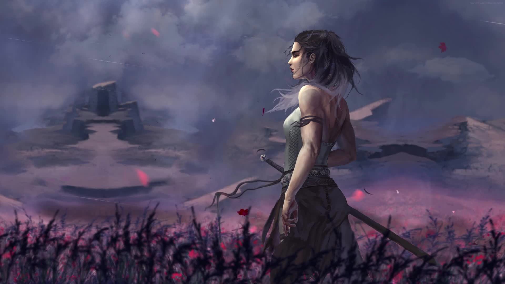 Download PC Warrior Field Live Wallpaper Free