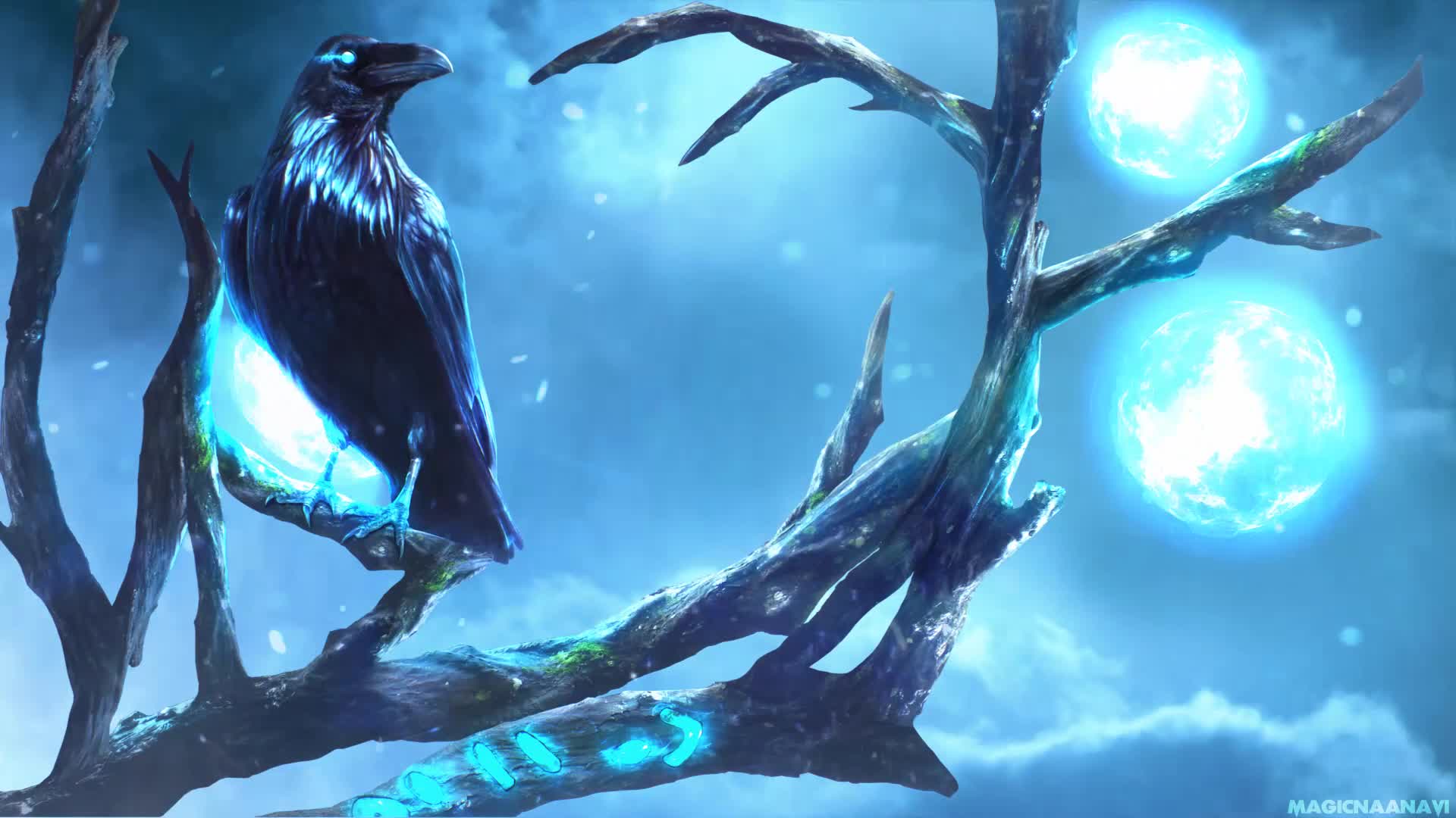 Download PC Raven Night Live Wallpaper Free