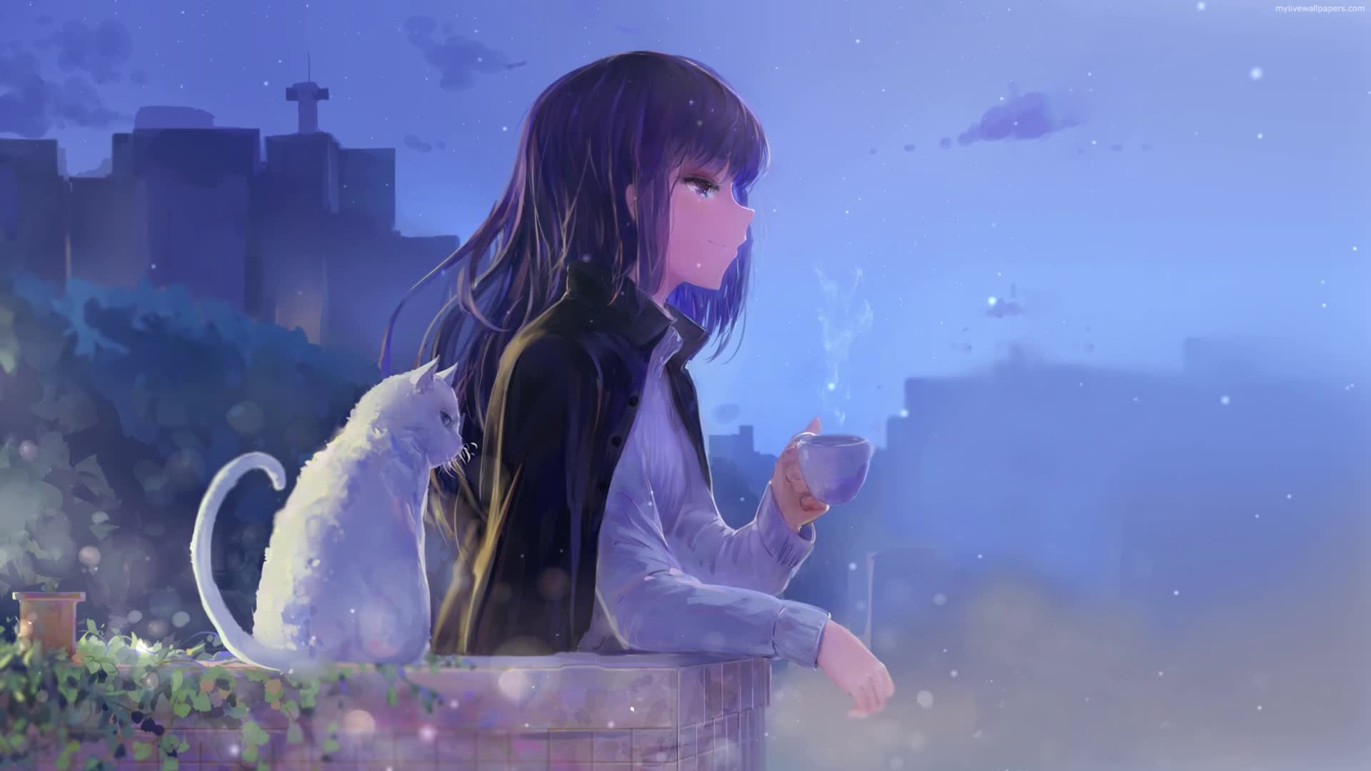 Download PC Coffee and Cat Live Wallpaper Free