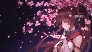 PC Sakura Petals Anime Girl Live Wallpaper Free