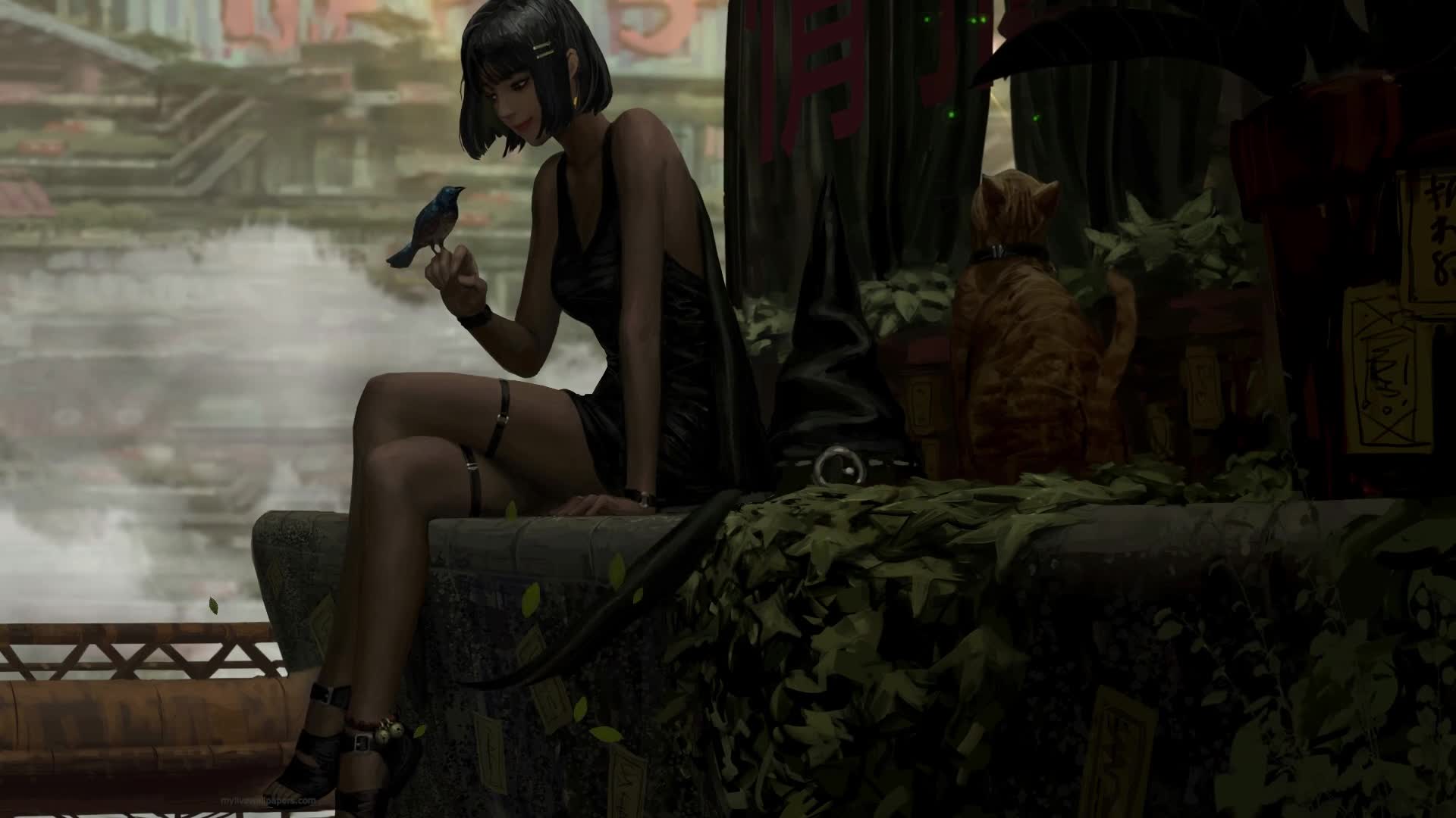 Download PC Pet Bird Live Wallpaper Free