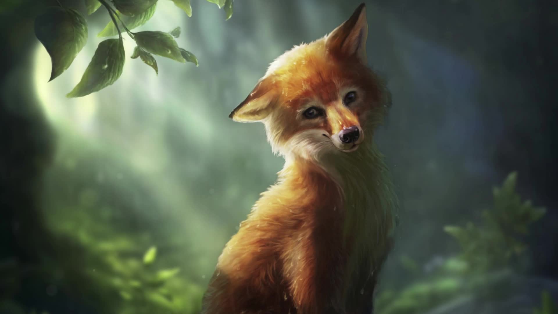 Download PC Cute Fox Live Wallpaper Free