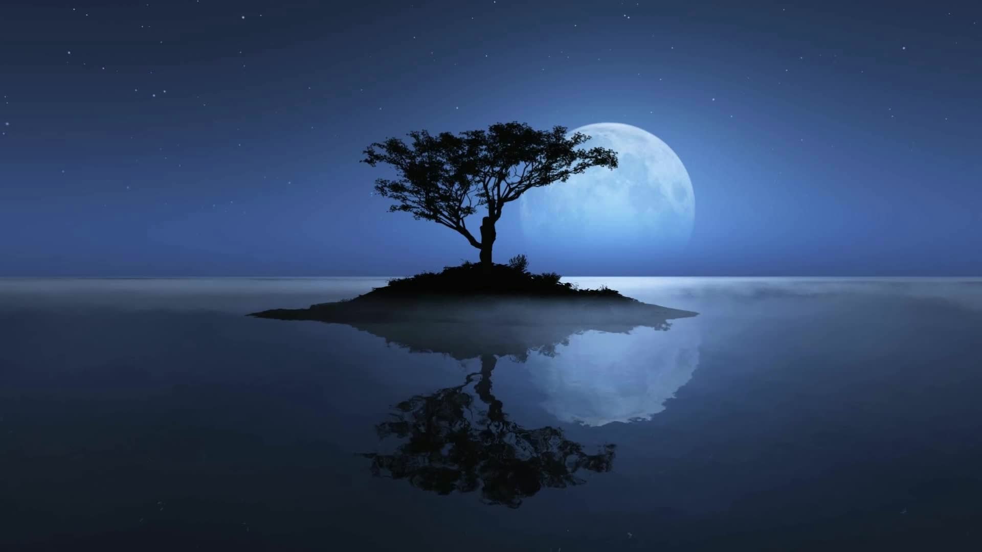 Download PC Tree Reflection Live Wallpaper Free