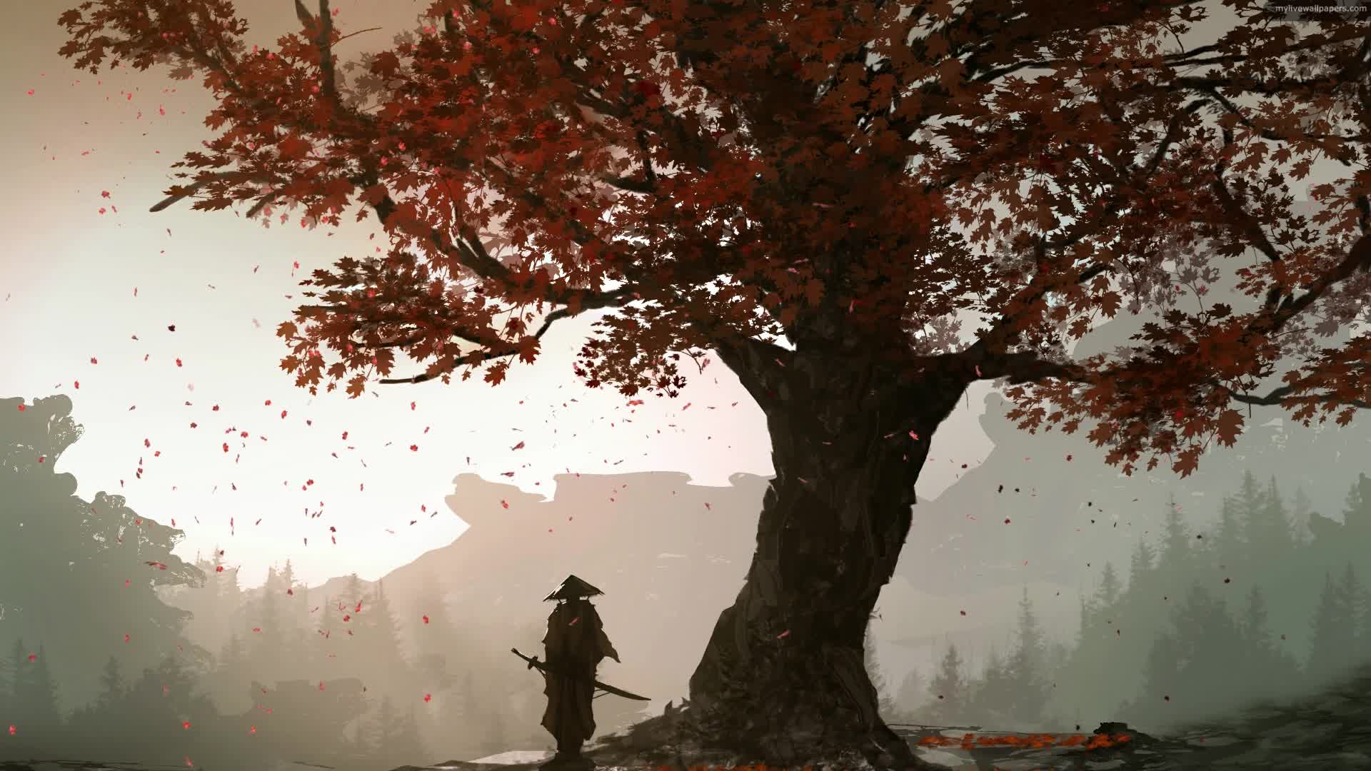 Download PC Samurai Autumn Live Wallpaper Free